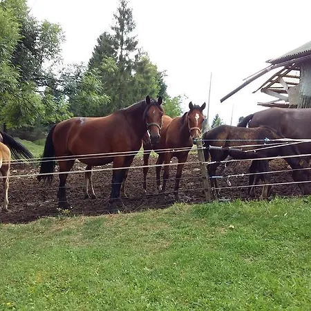 Tourist Farm Znidarjevi Farm stay