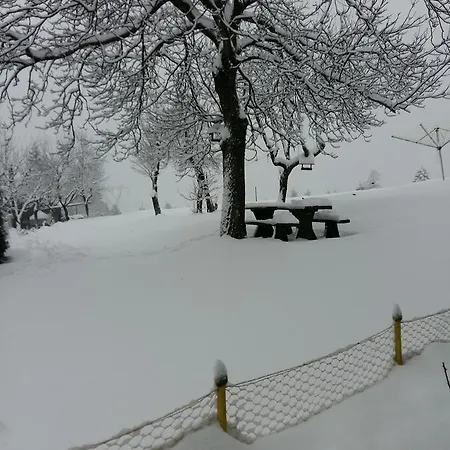 مزرعة للإقامة Tourist Farm Znidarjevi