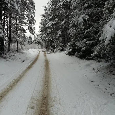 Tourist Farm Znidarjevi Gospodarstwo agroturystyczne *
