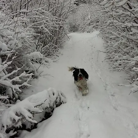Gospodarstwo agroturystyczne Tourist Farm Znidarjevi Kozljek