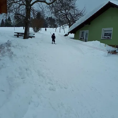 Tourist Farm Znidarjevi *
