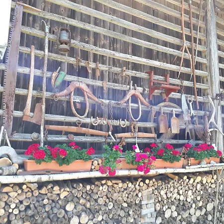 Tourist Farm Znidarjevi Kozljek