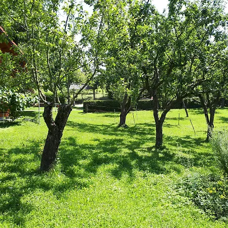Farm stay Tourist Farm Znidarjevi Kozljek