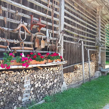 팜스테이 Tourist Farm Znidarjevi