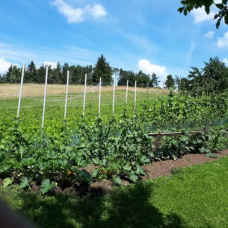 Tourist Farm Znidarjevi * Kozljek