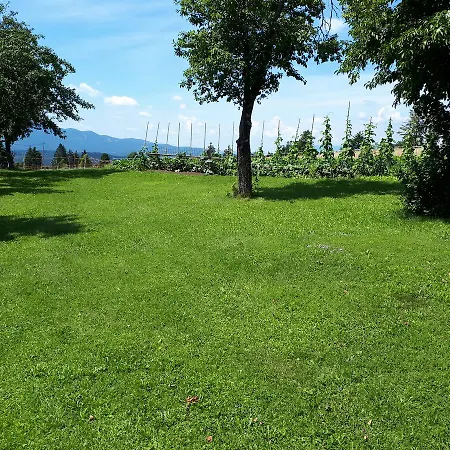 Gospodarstwo agroturystyczne Tourist Farm Znidarjevi *