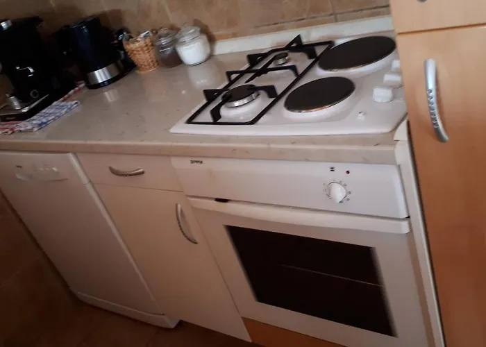 Tourist Farm Znidarjevi Kozljek