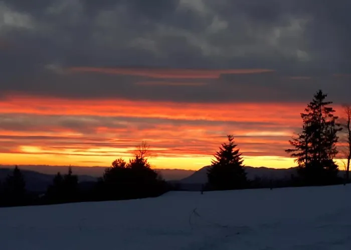 مزرعة للإقامة Tourist Farm Znidarjevi