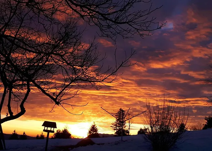 Tourist Farm Znidarjevi * Kozljek