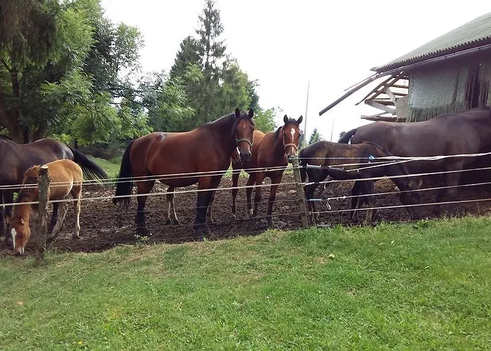 Tourist Farm Znidarjevi مزرعة للإقامة