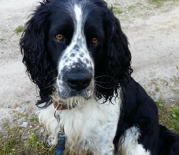 مزرعة للإقامة Tourist Farm Znidarjevi Kozljek