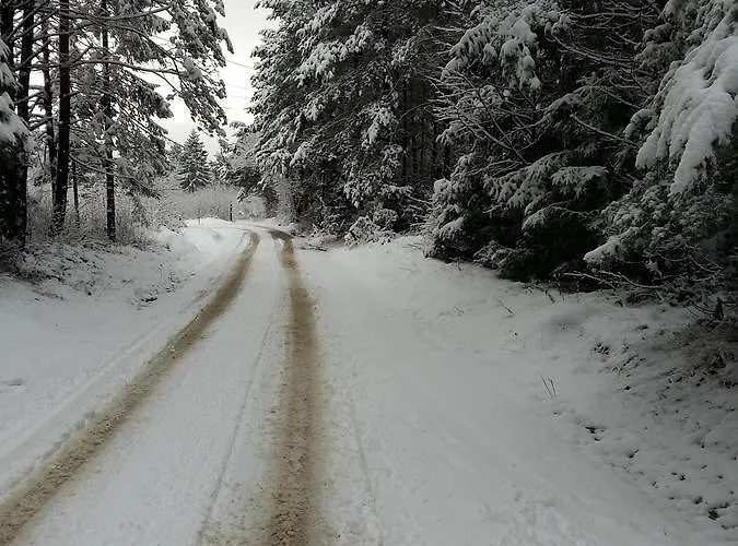Tourist Farm Znidarjevi مزرعة للإقامة *