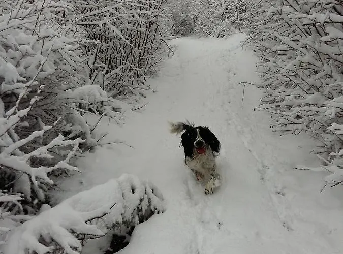مزرعة للإقامة Tourist Farm Znidarjevi Kozljek