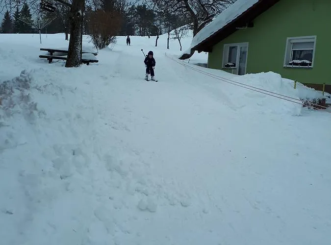 Tourist Farm Znidarjevi *