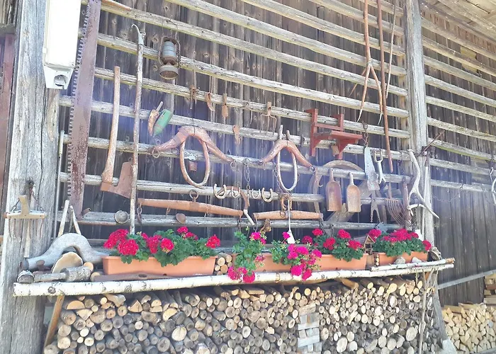 Tourist Farm Znidarjevi Kozljek