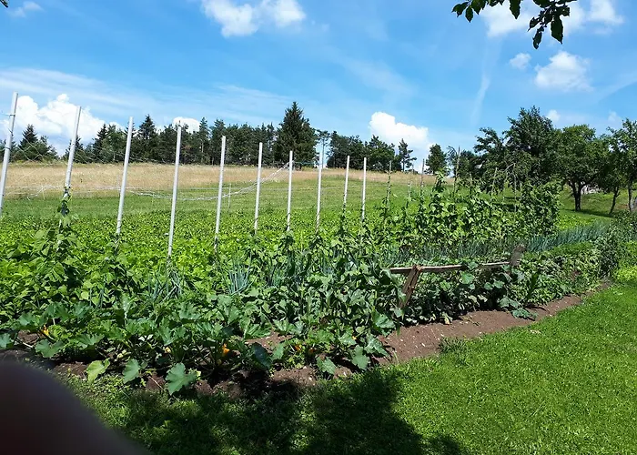 Tourist Farm Znidarjevi * Kozljek